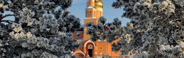Рождественская сказка в Православной гимназии